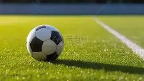 杨佳敏印度羽球公开赛女子单打复赛强势晋级