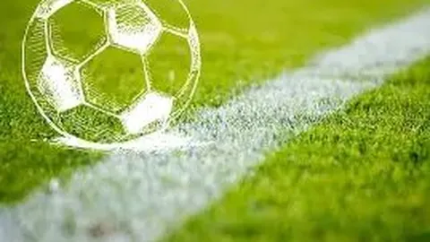 林孝埈含泪致歉，中国青年报追踪报道